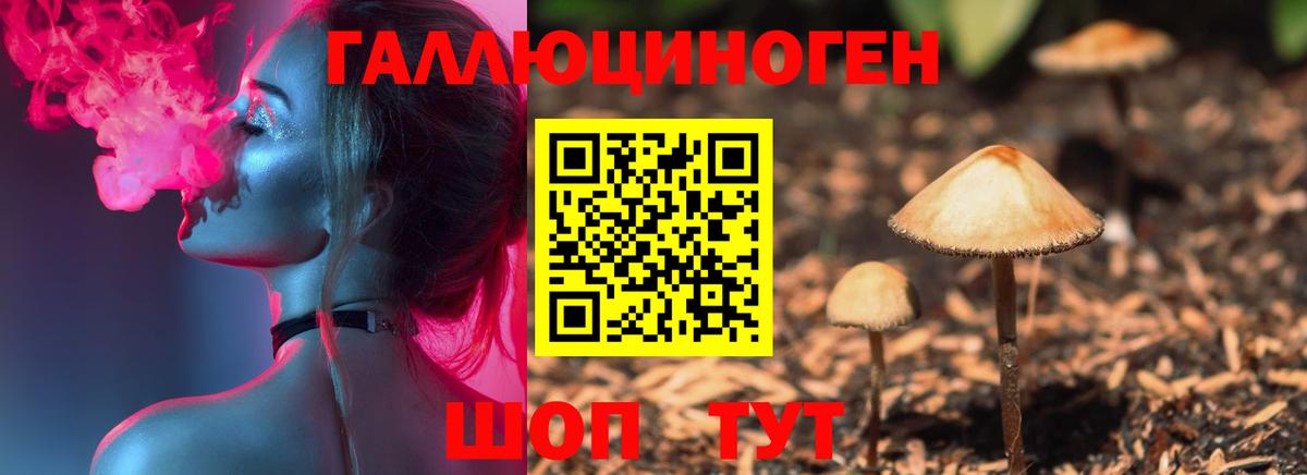 Галлюциногенные грибы ЛСД  Вход с VPN  что такое   Гудермес 